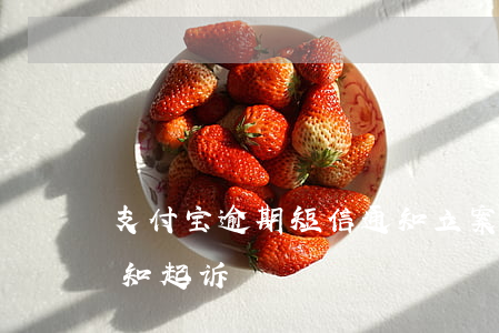 支付宝逾期短信通知立案(支付宝逾期短信通知起诉)