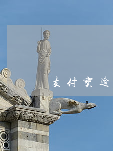支付宝逾期神魔意思（支付宝逾期神魔意思）