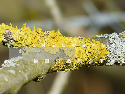 支付宝逾期突然怎么不发短信通知-支付宝逾期突然怎么不发短信通知了