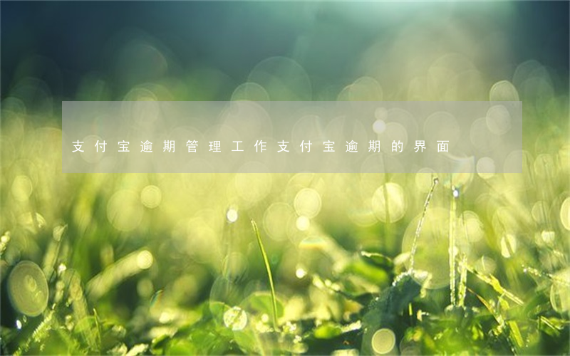 支付宝逾期管理工作(支付宝逾期的界面)