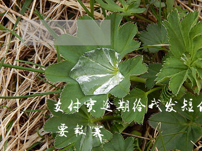 支付宝逾期给我发短信(支付宝发短信说逾期要报案)