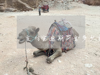 支付宝逾期罚金多少（支付宝逾期一年罚息4k）