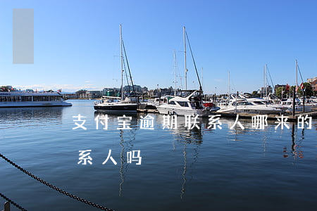 支付宝逾期联系人哪来的-支付宝逾期打联系人吗