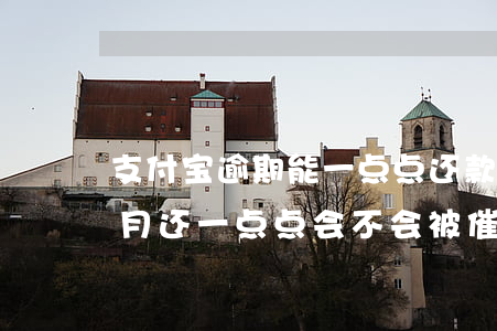 支付宝逾期能一点点还款吗(支付宝逾期一个月还一点点会不会被催收的更猛)