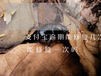 支付宝逾期能修复几次(支付宝逾期每个月只能修复一次吗)
