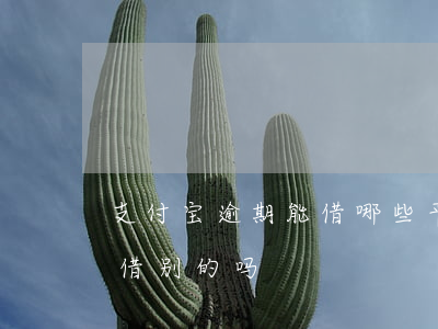 支付宝逾期能借哪些平台-支付宝逾期可以借别的吗
