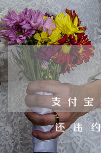 支付宝逾期能做什么网贷(支付宝网贷逾期不还违约会越来越高吗)