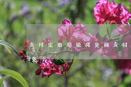支付宝逾期能减免吗（支付宝逾期两年了能减免么）