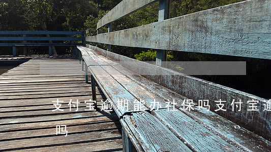 支付宝逾期能办社保吗(支付宝逾期影响医保吗)
