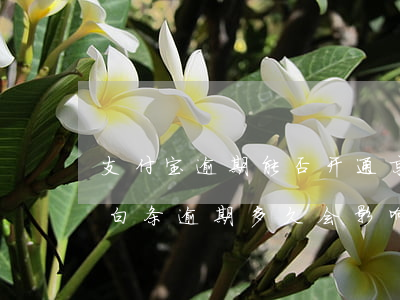 支付宝逾期能否开通京东白条(支付宝和京东白条逾期多久会影响信用)