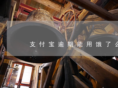 支付宝逾期能用饿了么(饿了吗支持支付宝吗)