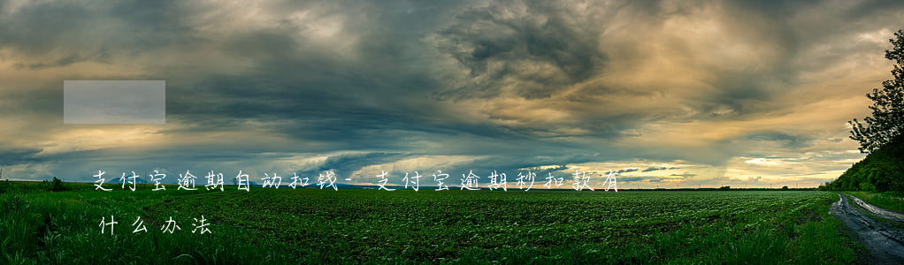 支付宝逾期自动扣钱-支付宝逾期秒扣款有什么办法