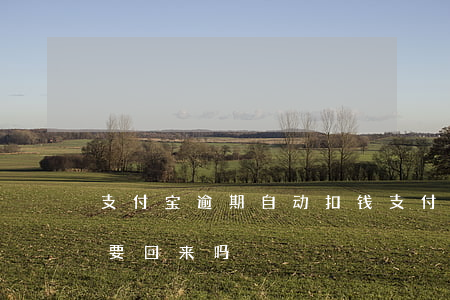 支付宝逾期自动扣钱（支付宝逾期自动扣款能要回来吗）