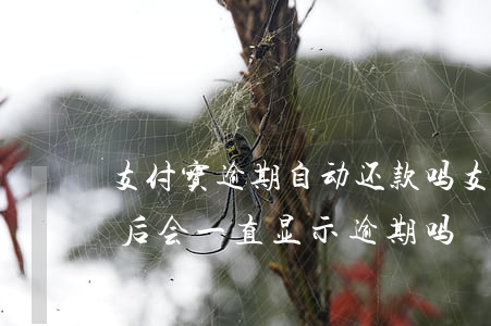 支付宝逾期自动还款吗(支付宝逾期还款了,之后会一直显示逾期吗)
