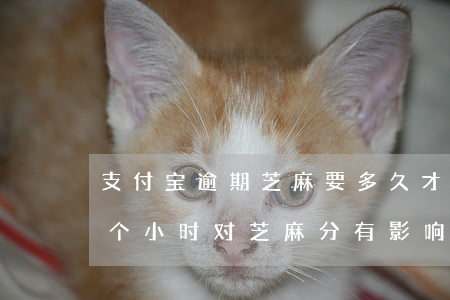 支付宝逾期芝麻要多久才能用 支付宝逾期几个小时对芝麻分有影响吗