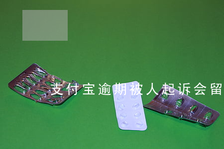 支付宝逾期被人起诉会留有案底吗