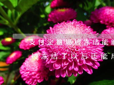 支付宝逾期被冻结能解开吗(支付宝因为逾期被冻结了,以后还能用吗)