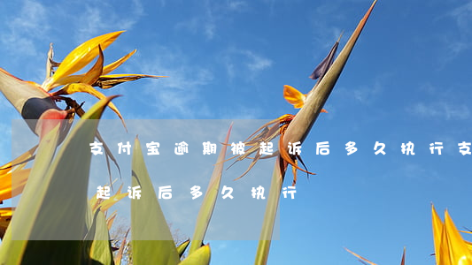 支付宝逾期被起诉后多久执行(支付宝逾期被起诉后多久执行)