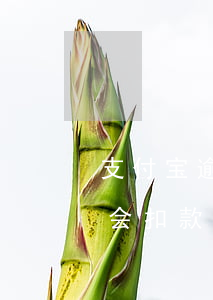 支付宝逾期解绑卡还会扣-支付宝解绑卡还会扣款吗