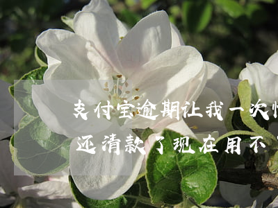 支付宝逾期让我一次性还清(支付宝逾期五次还清款了现在用不了怎么办)
