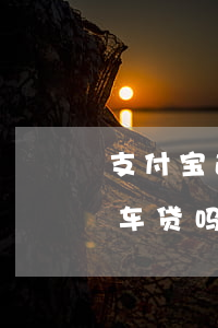 支付宝逾期记录ofo(支付宝逾期记录影响车贷吗)