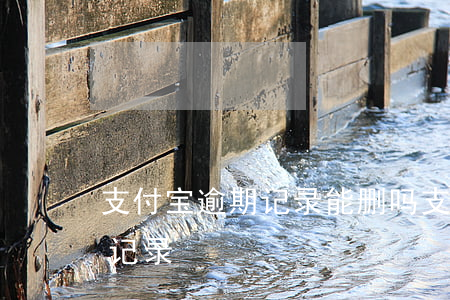 支付宝逾期记录能删吗(支付宝怎么消除逾期记录)