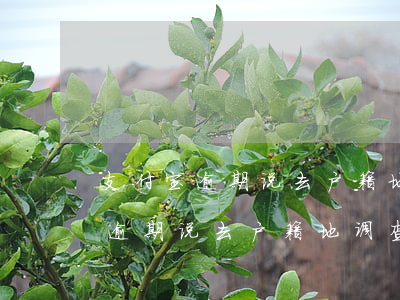 支付宝逾期说去户籍地调查是真的吗（支付宝逾期说去户籍地调查）