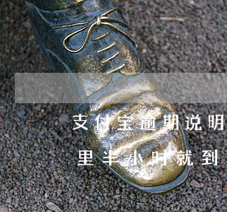 支付宝逾期说明天去我家(支付宝逾期说去家里半小时就到真的假的)