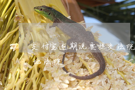 支付宝逾期说要提交法院(支付宝逾期 提交当地法院)