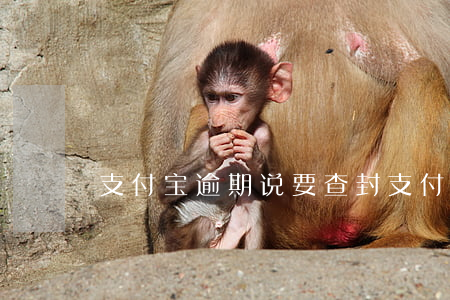 支付宝逾期说要查封(支付宝逾期违法吗)