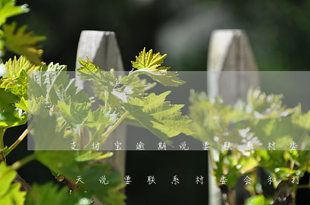 支付宝逾期说要联系村委会(支付宝逾期60天说要联系村委会和打家里人电话)