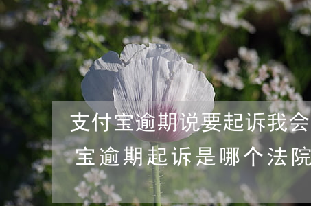支付宝逾期说要起诉我会不会真的起诉（支付宝逾期起诉是哪个法院）