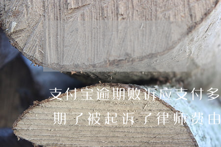 支付宝逾期败诉应支付多少律师费(支付宝逾期了被起诉了律师费由我出一般多少钱)