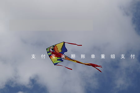 支付宝逾期账单重组（支付宝逾期账单重组）