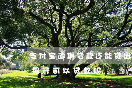 支付宝逾期贷款还能贷出来么（支付宝有逾期银行可以贷款吗）