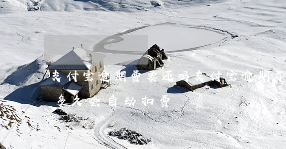 支付宝逾期费要还吗(支付宝逾期了里面有钱多久会自动扣费)