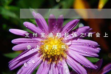 支付宝逾期起诉之前会上门吗-支付宝逾期会上法院吗