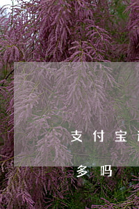 支付宝逾期起诉案件（支付宝起诉逾期的案例多吗）