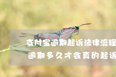 支付宝逾期起诉法律流程要多久(支付宝一般逾期多久才会真的起诉)