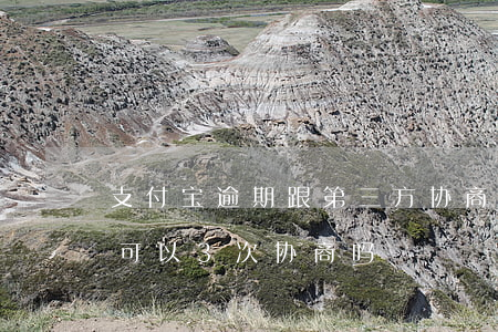 支付宝逾期跟第三方协商有用吗（支付宝逾期可以3次协商吗）