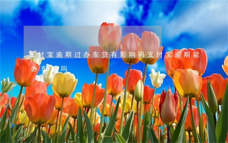 支付宝逾期过办车贷有影响吗(支付宝逾期能办车贷吗)