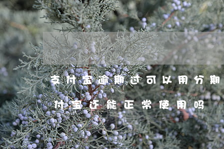 支付宝逾期过可以用分期乐吗 分期乐逾期,支付宝还能正常使用吗