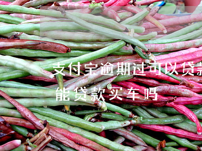 支付宝逾期过可以贷款买车么(支付宝逾过期能贷款买车吗)