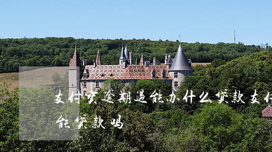 支付宝逾期过能办什么贷款 支付宝逾期了还能贷款吗