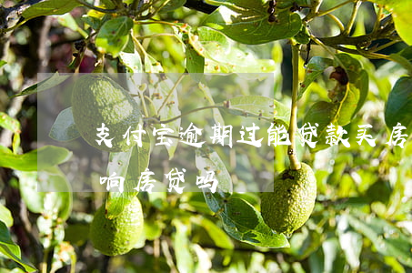 支付宝逾期过能贷款买房吗(支付宝有逾期影响房贷吗)