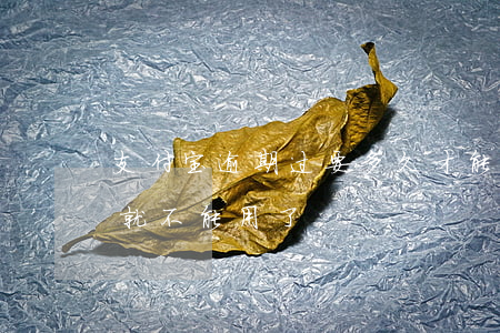 支付宝逾期过要多久才能用(支付宝逾期多久就不能用了)