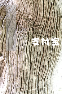 支付宝逾期过还了能做车贷吗