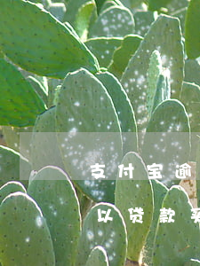支付宝逾期过还能房贷吗(支付宝逾期过还可以贷款买房吗)