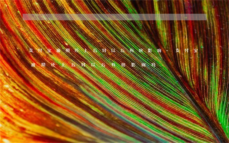 支付宝逾期还上后对以后有啥影响-支付宝逾期还上后对以后有啥影响吗