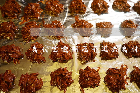 支付宝逾期还不进去(支付宝逾期实在还不上)